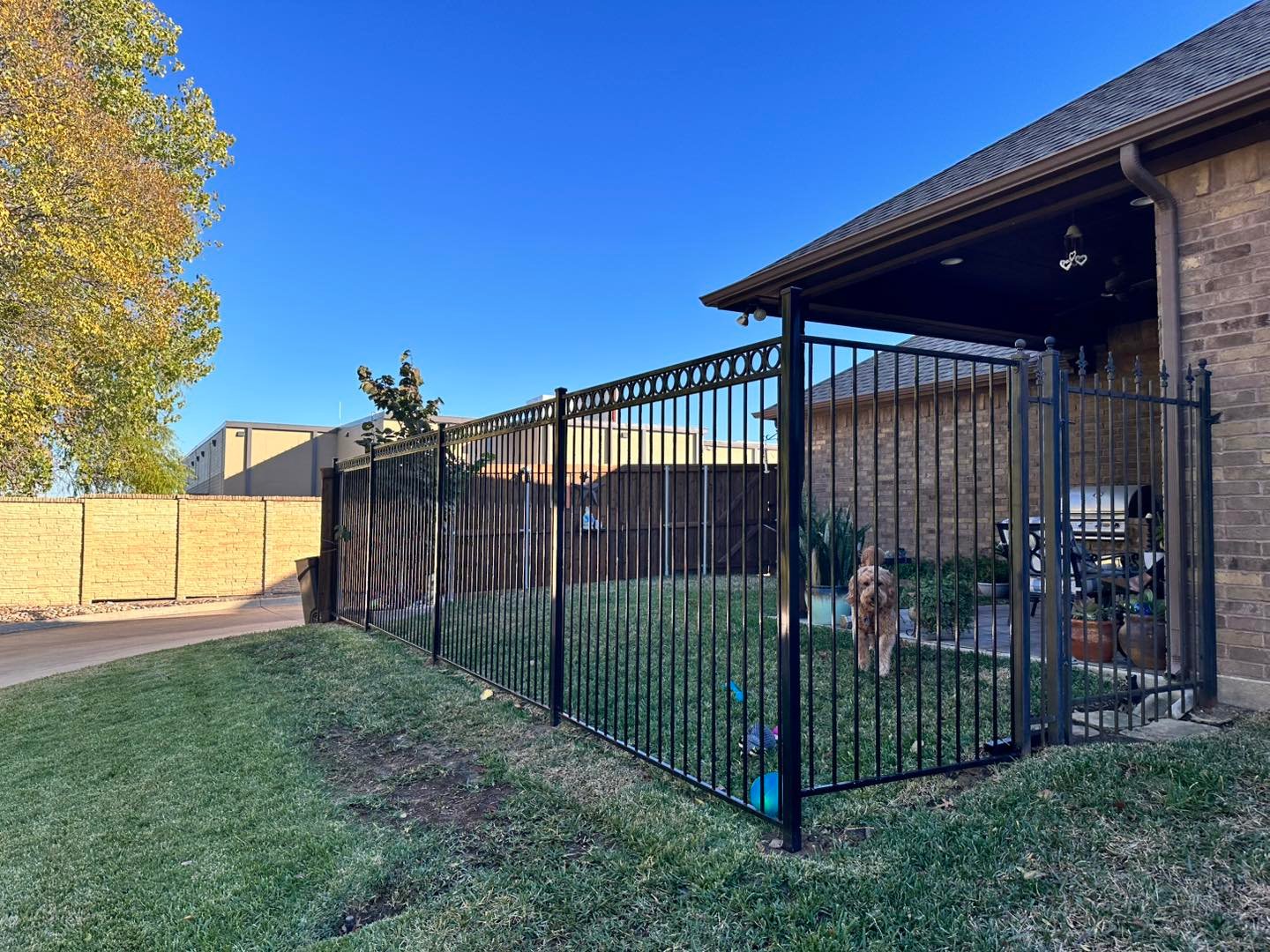 security metal fence for dogs
